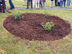 Ballymount Mass in recognition of Sheila Heydon-Hughes & Margaret Ryan