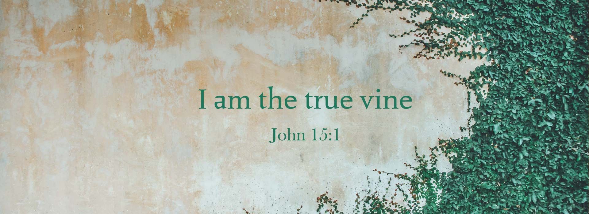John 15:1