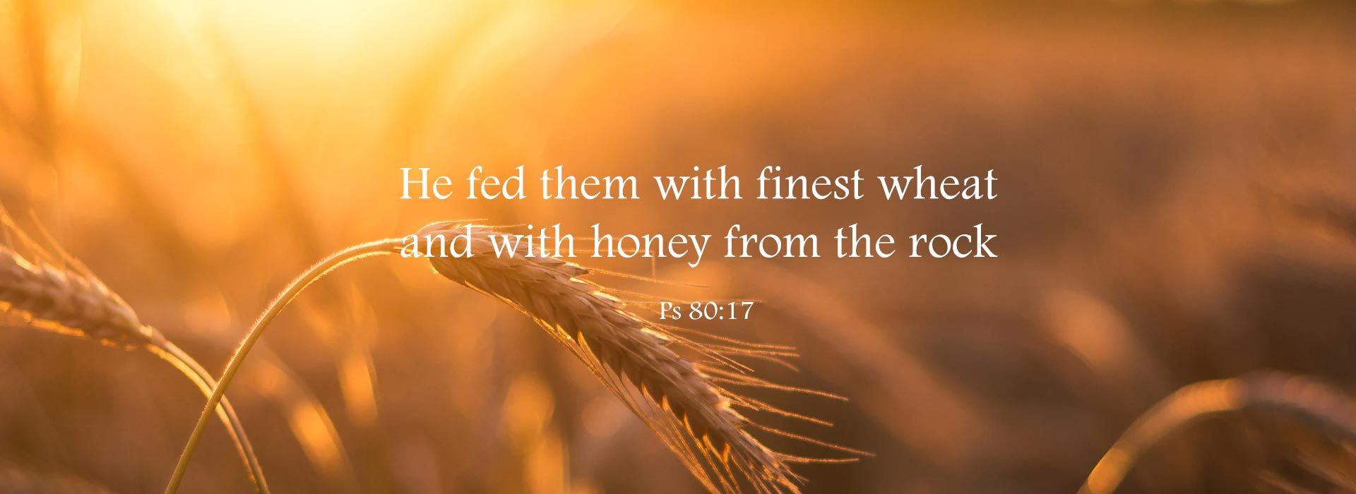 Ps 80:17