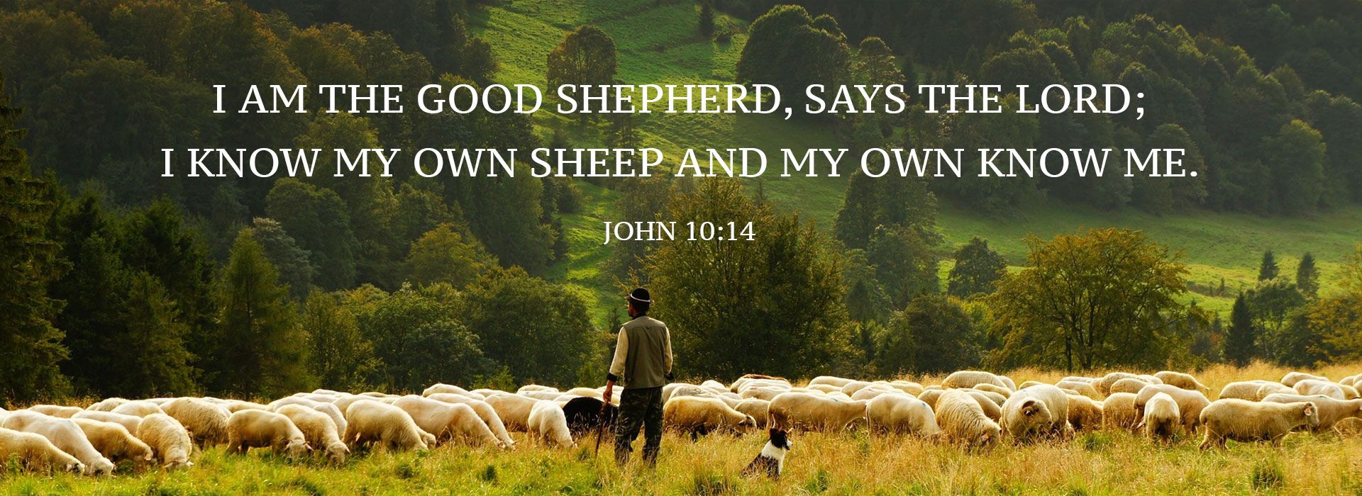 I am the Good Shepherd