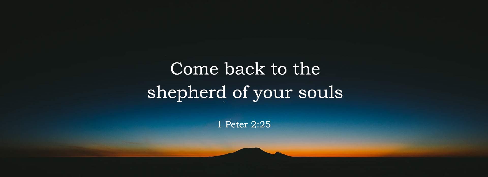 Good Shepherd Sunday