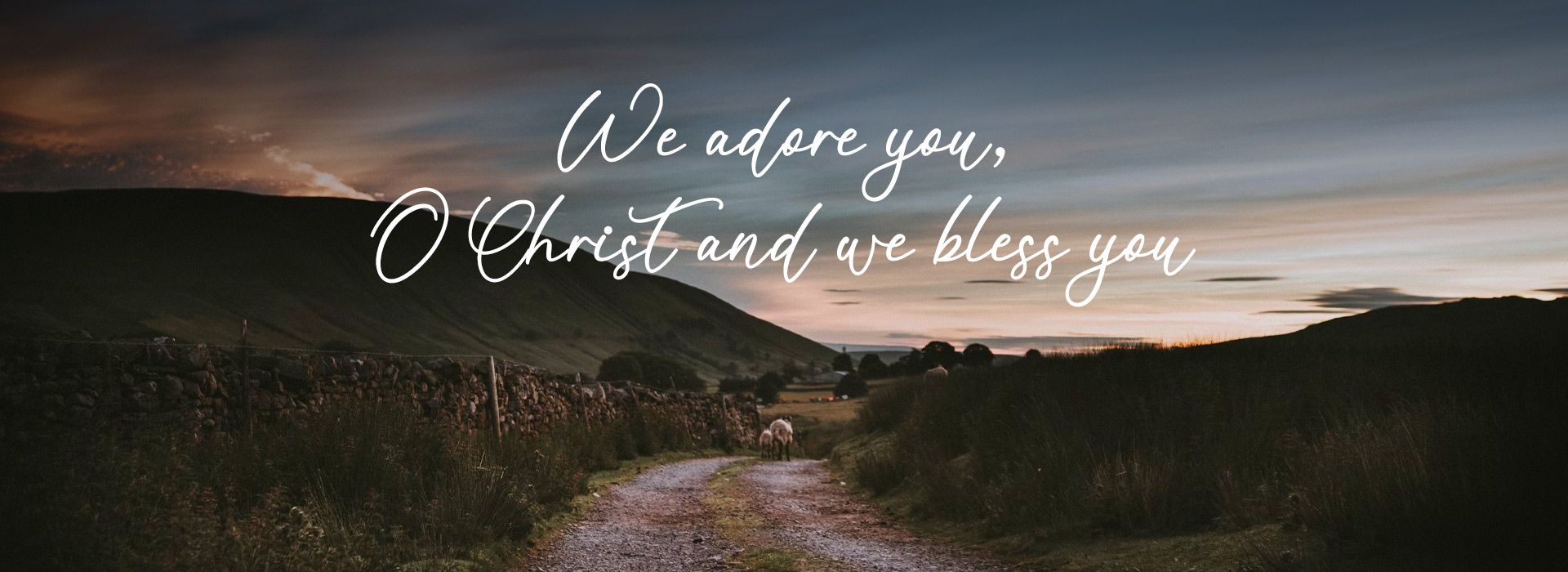 We Adore you O Christ