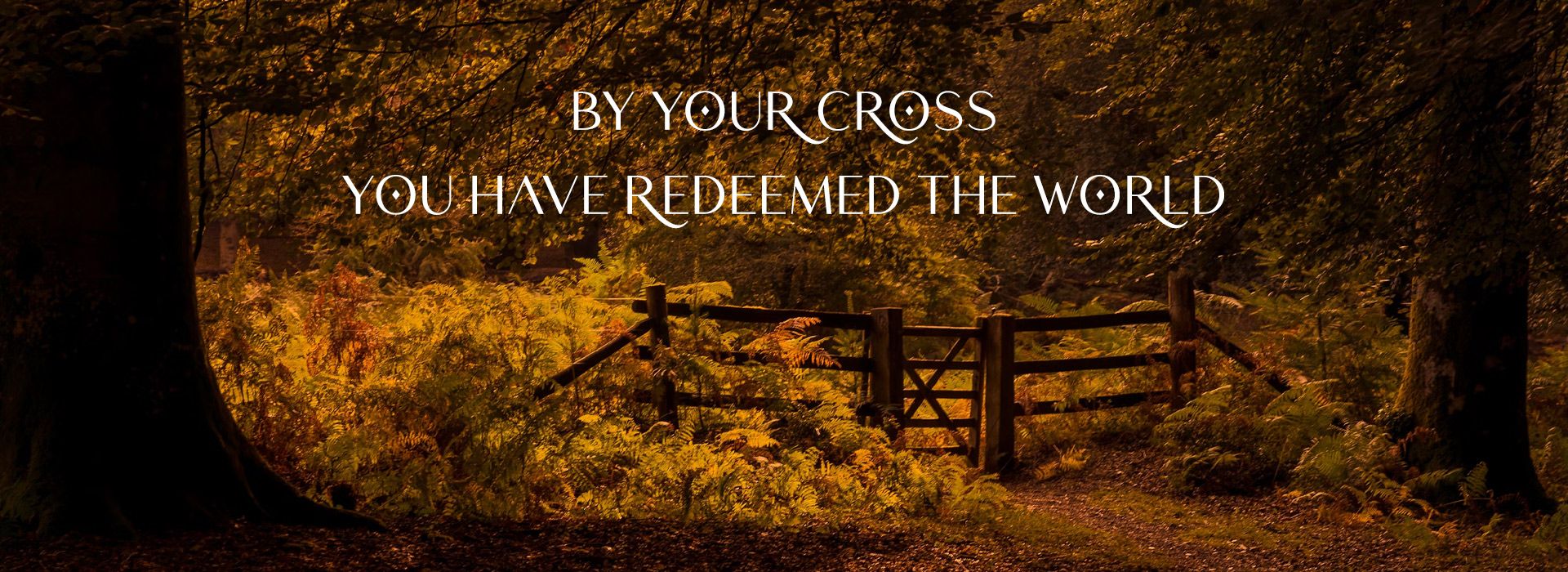 You have Redeemed the World