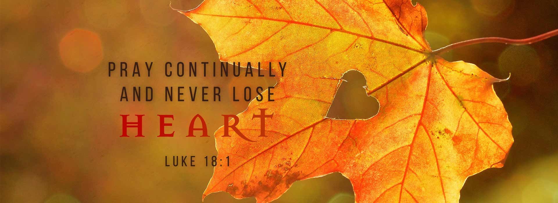 Never Lose Heart