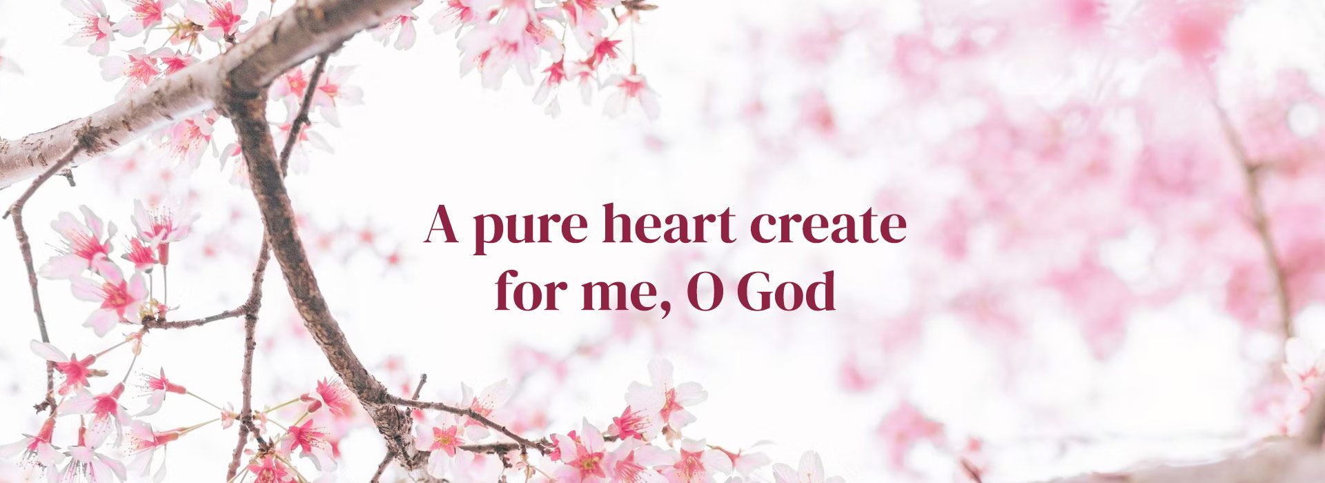 Create for me a pure heart