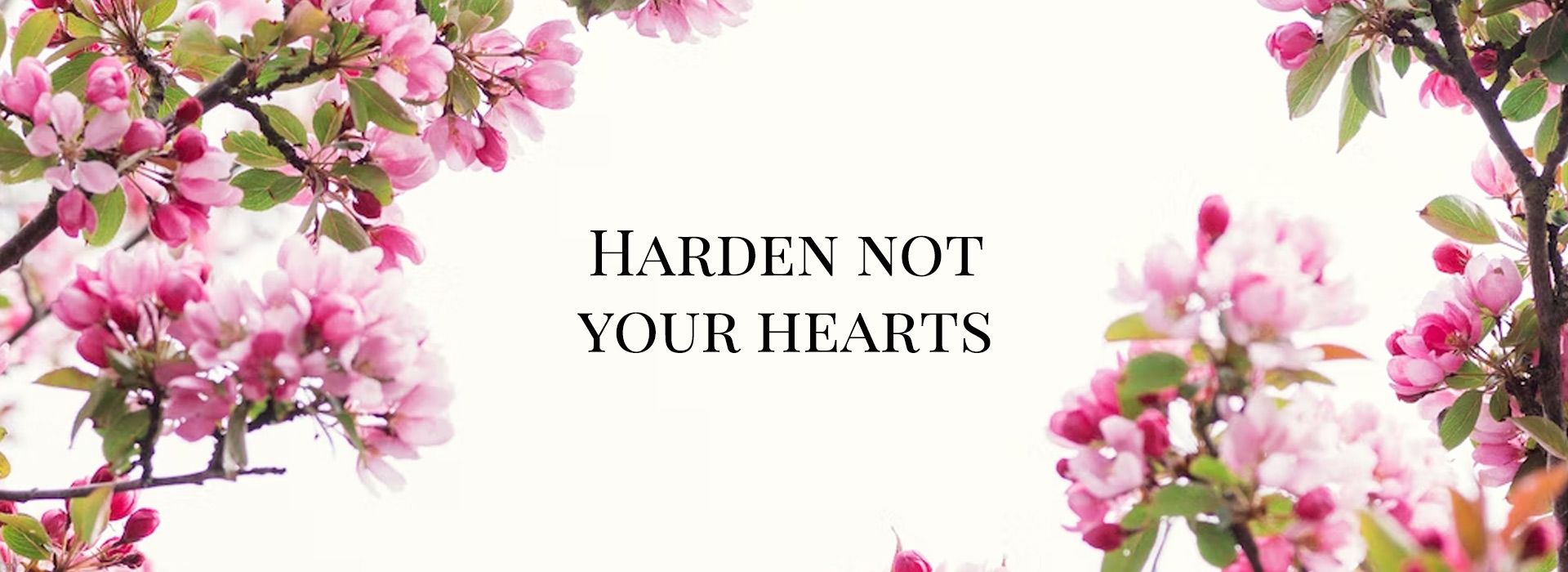 Harden not your Hearts